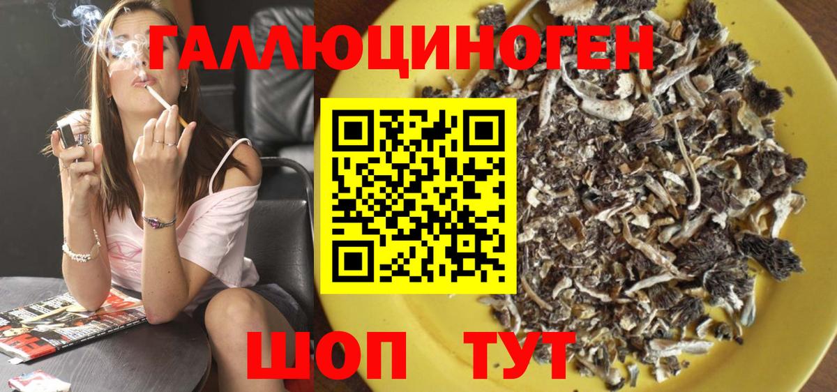 Псилоцибиновые грибы Cubensis  Вход с VPN  Галлюциногенные грибы MAGIC MUSHROOMS  Александров 