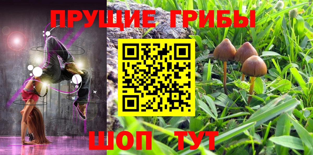 Галлюциногенные грибы Magic Shrooms Александров